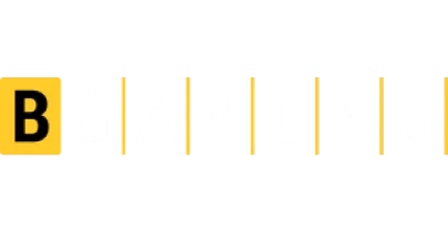partners who work with Licgames