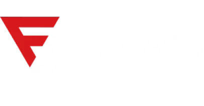 partners who work with Licgames