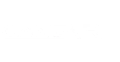 partners who work with Licgames